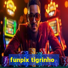 funpix tigrinho